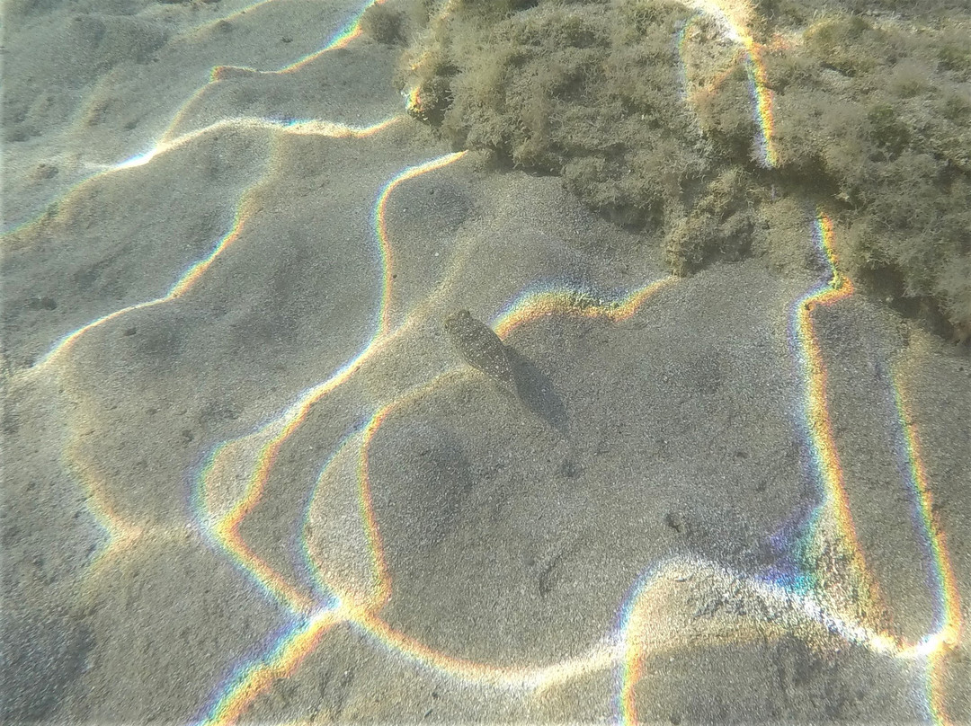 Kapparris Beach-帕拉林尼必去景点