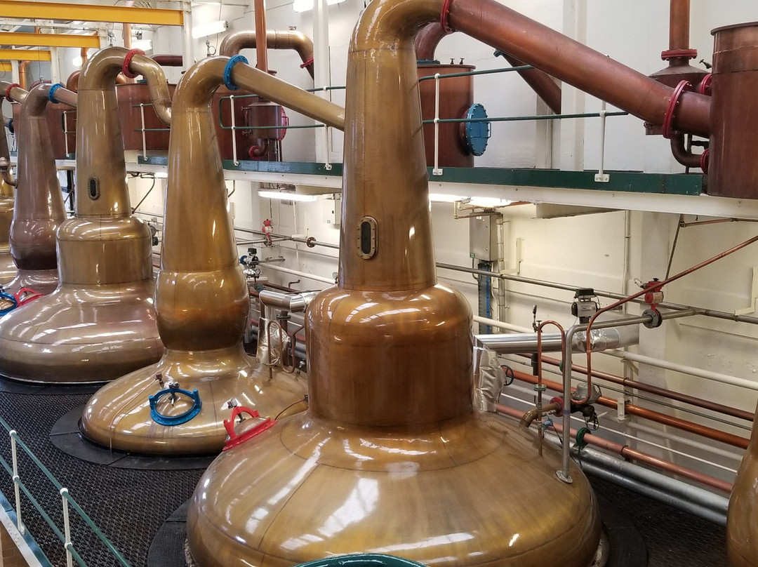 Glen Grant Whisky Distillery and Garden景点图片