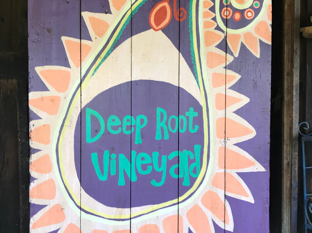 Deep Root Vineyard景点图片