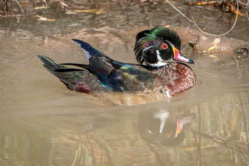 Open Space Visitor Center-阿尔伯克基必去景点