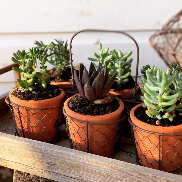 The Olde Farm Store-塔姆沃思必去景点