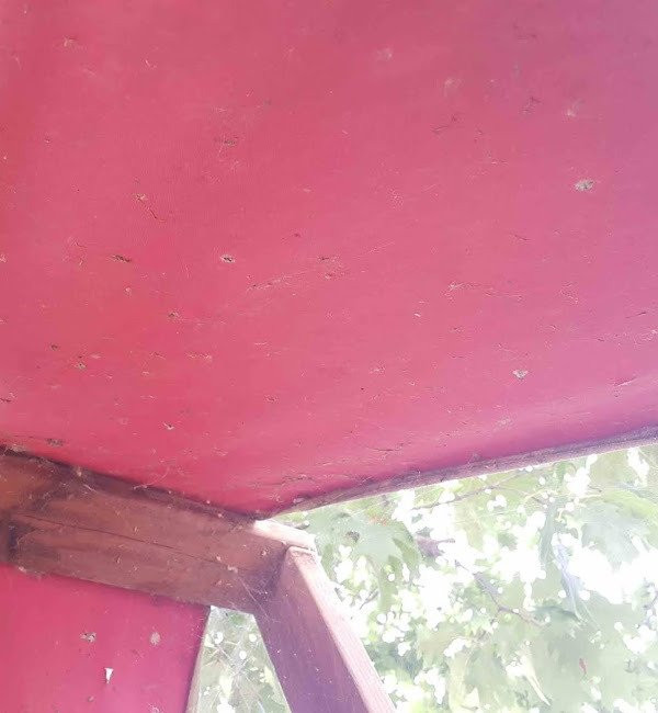 Albergo Le Tre Isole Villaggio主图