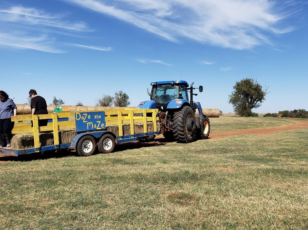 Daze in a Maze-Enid必去景点