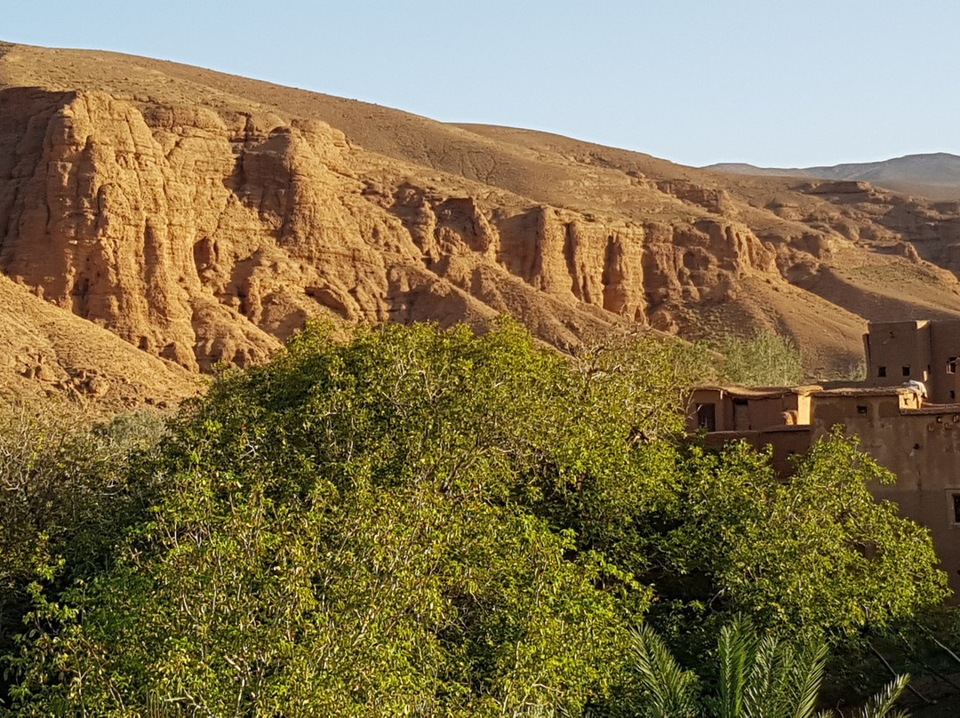 Dar Jnan Tiouira主图