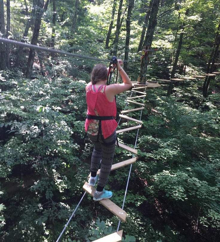 Go Ape Treetop Adventure Course景点图片