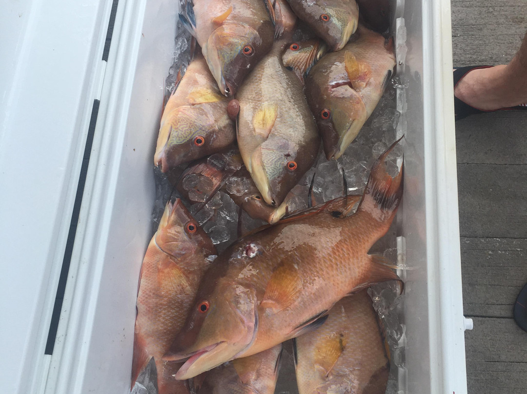 Spear It Key West-基韦斯特必去景点