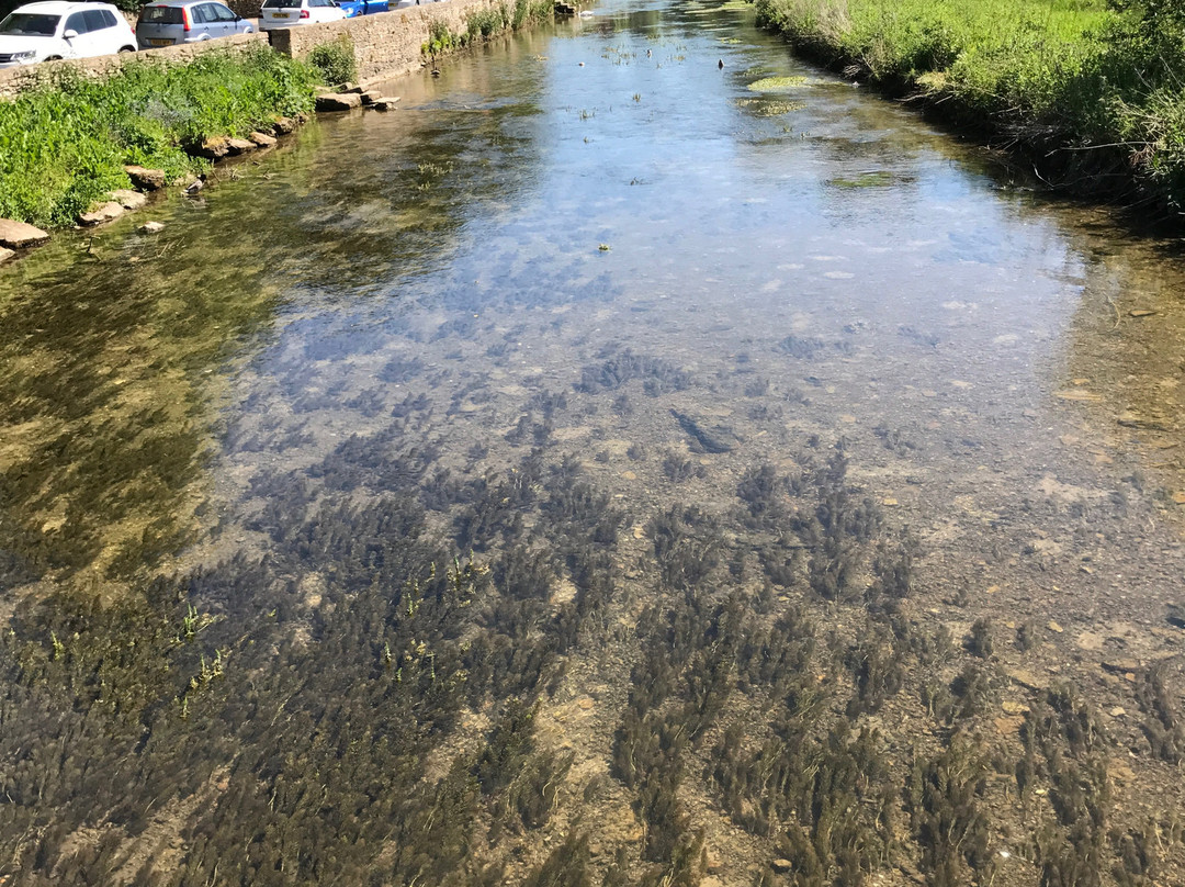 River Coln-拜伯里必去景点
