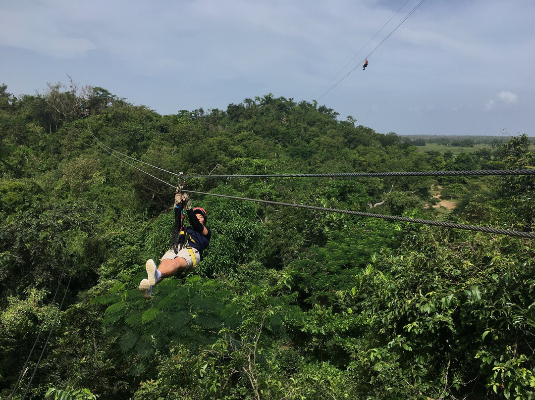 Campo Rico Ziplining Adventures-圣胡安必去景点