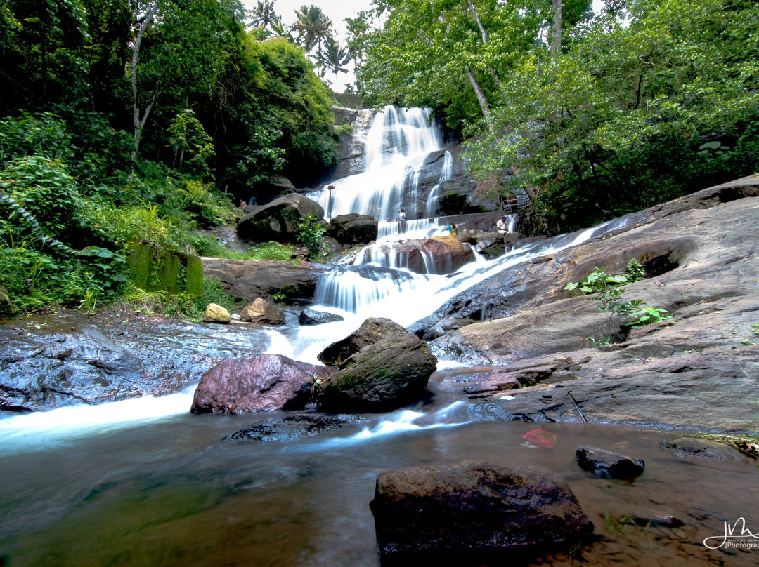 Areeckal Waterfalls景点图片