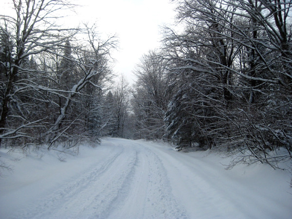 Snowmobile Vermont景点图片