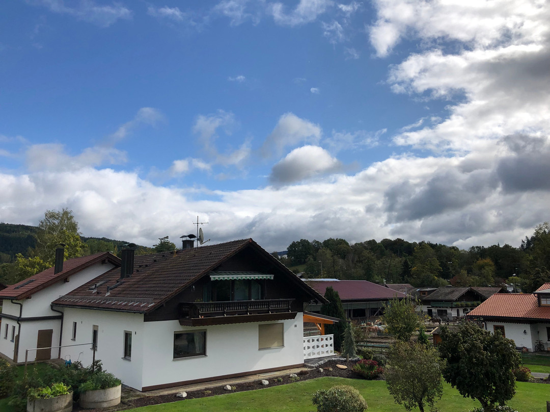 Schwarzach旅游攻略图片