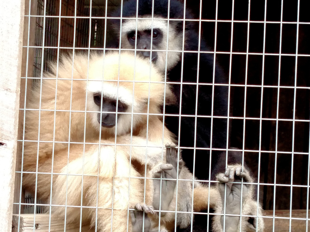 Critter Country Exotic Animals景点图片