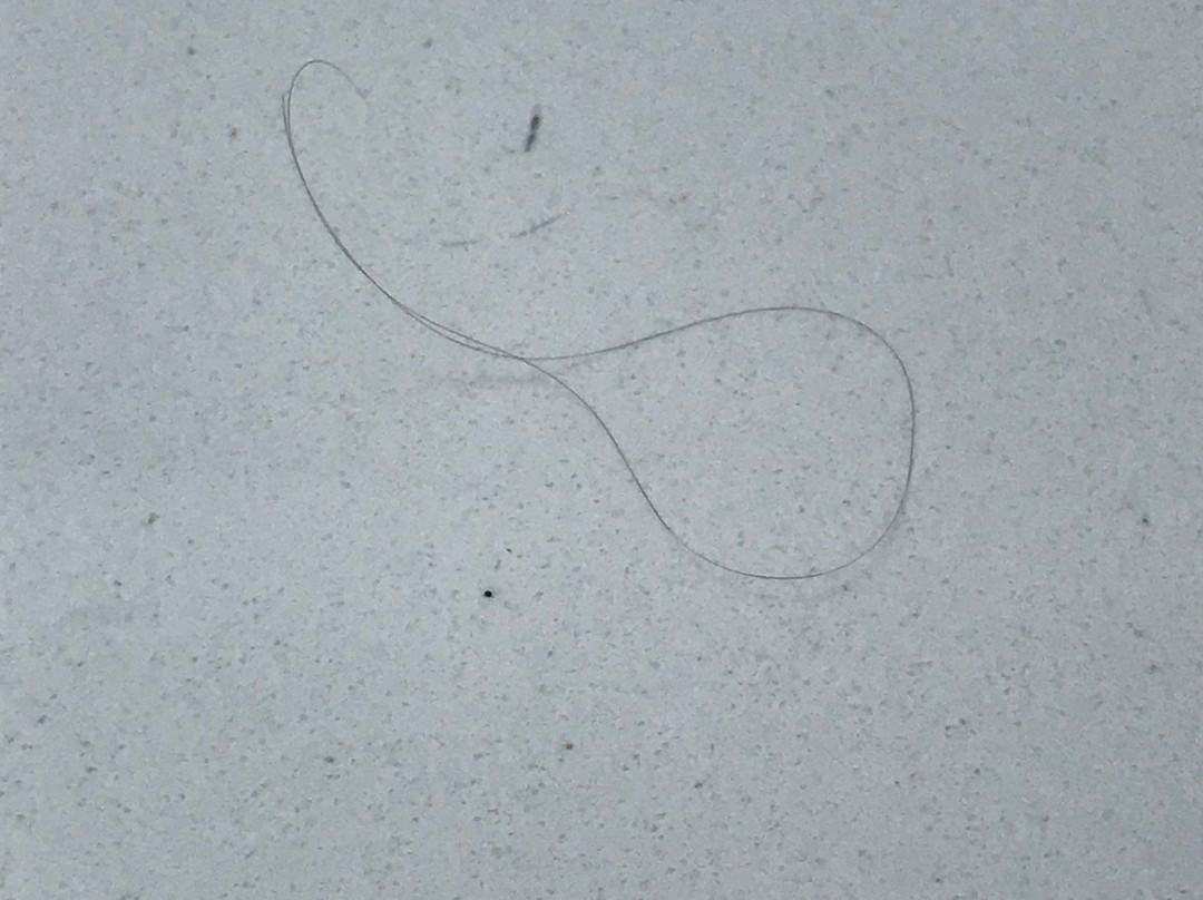 Hampton Inn Freeport/Brunswick主图