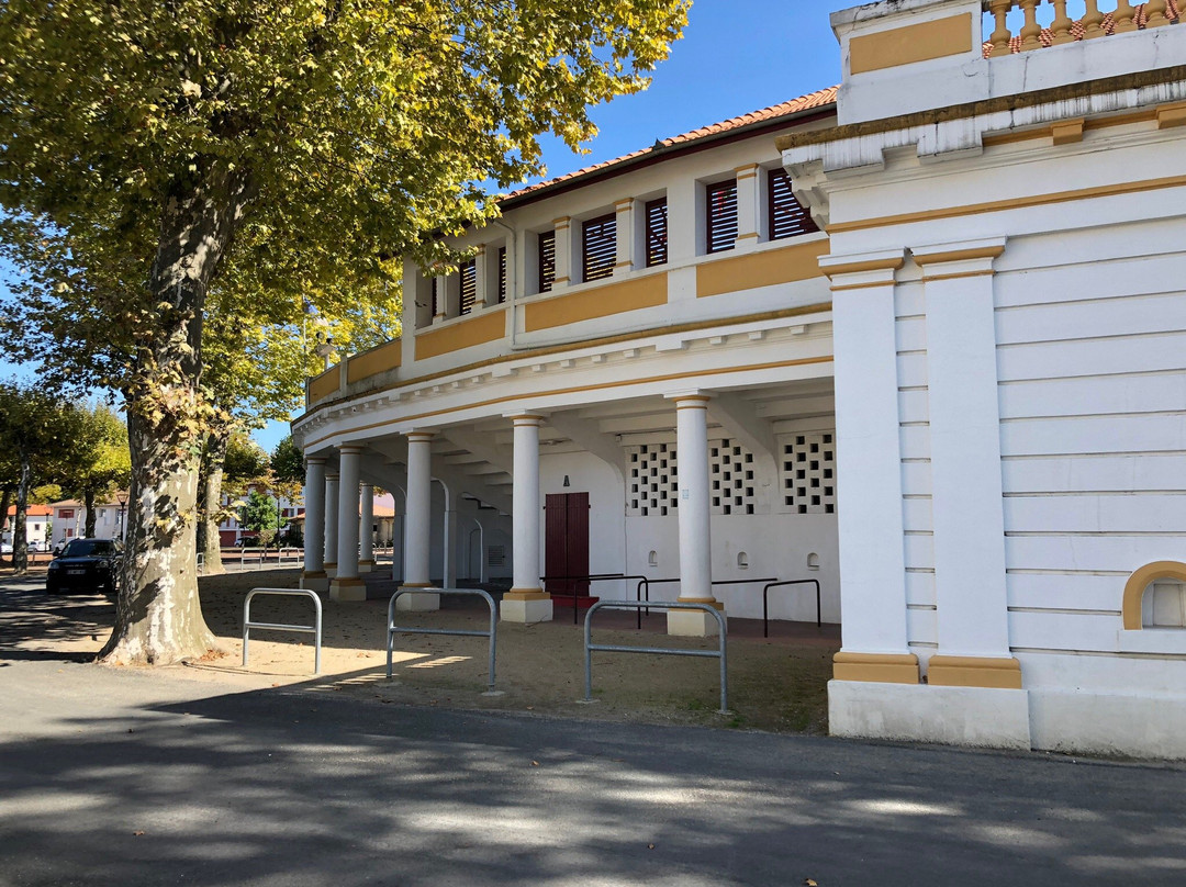 Office de Tourisme de Soustons Landes Atlantique Sud-Soustons必去景点