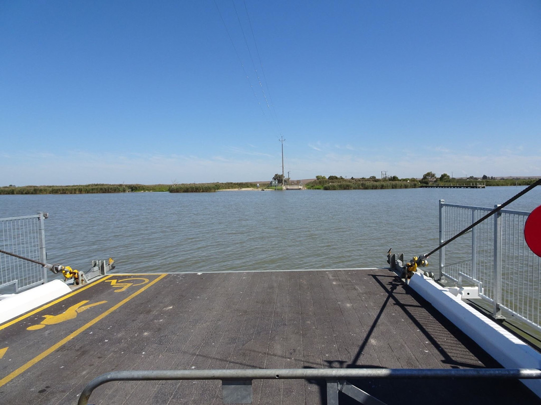 Narrung Ferry-Narrung必去景点