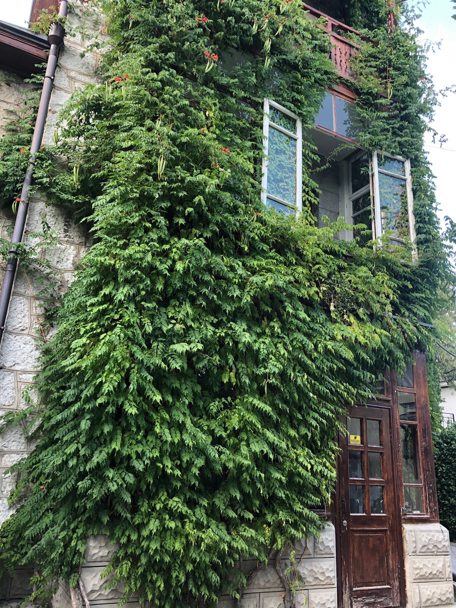Villa Edem-官方