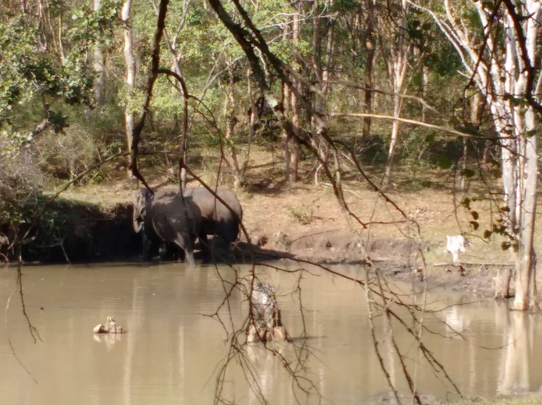 Br Hills Wildlife Sanctuary-Kemmannagundi必去景点