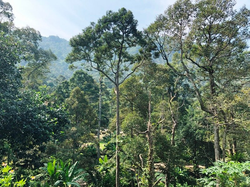 Green Acres-浮罗山背必去景点