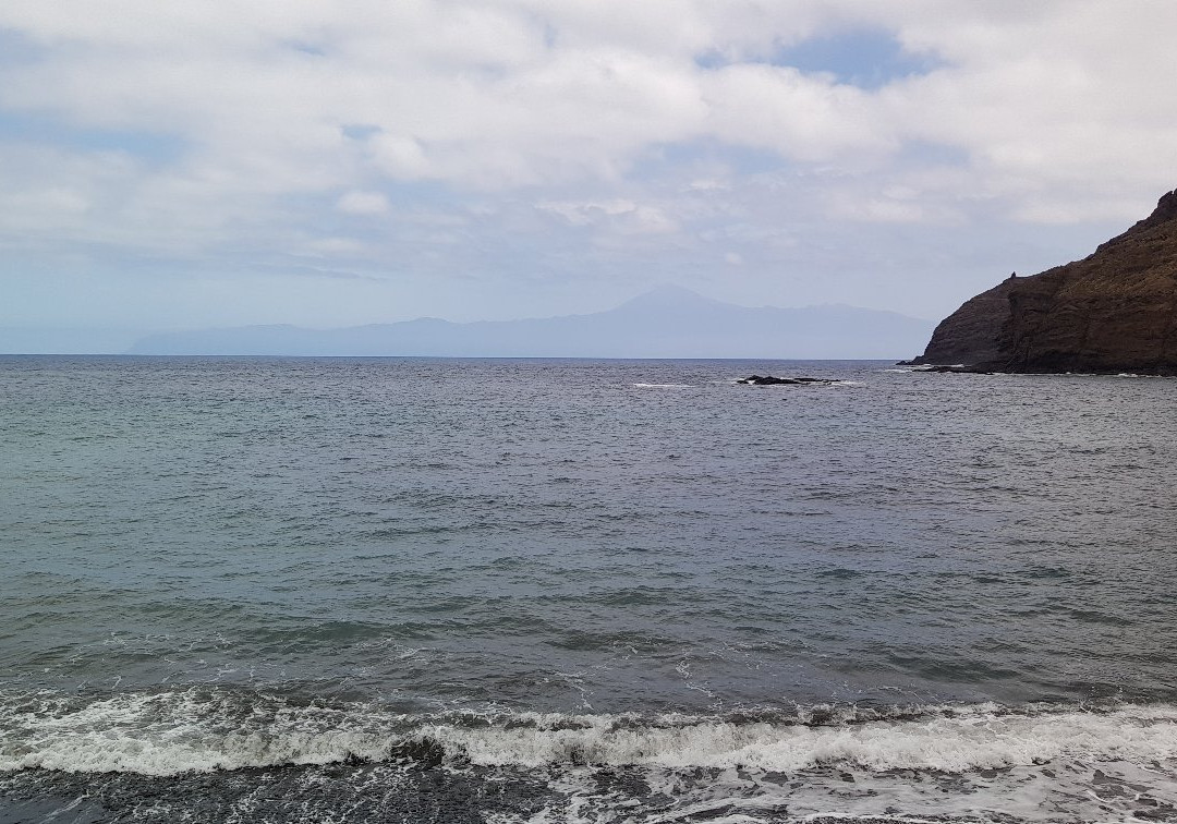 Playa La Caleta景点图片