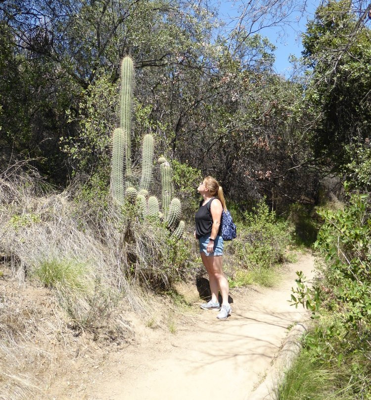 Clarillo River National Reserve-Pirque必去景点