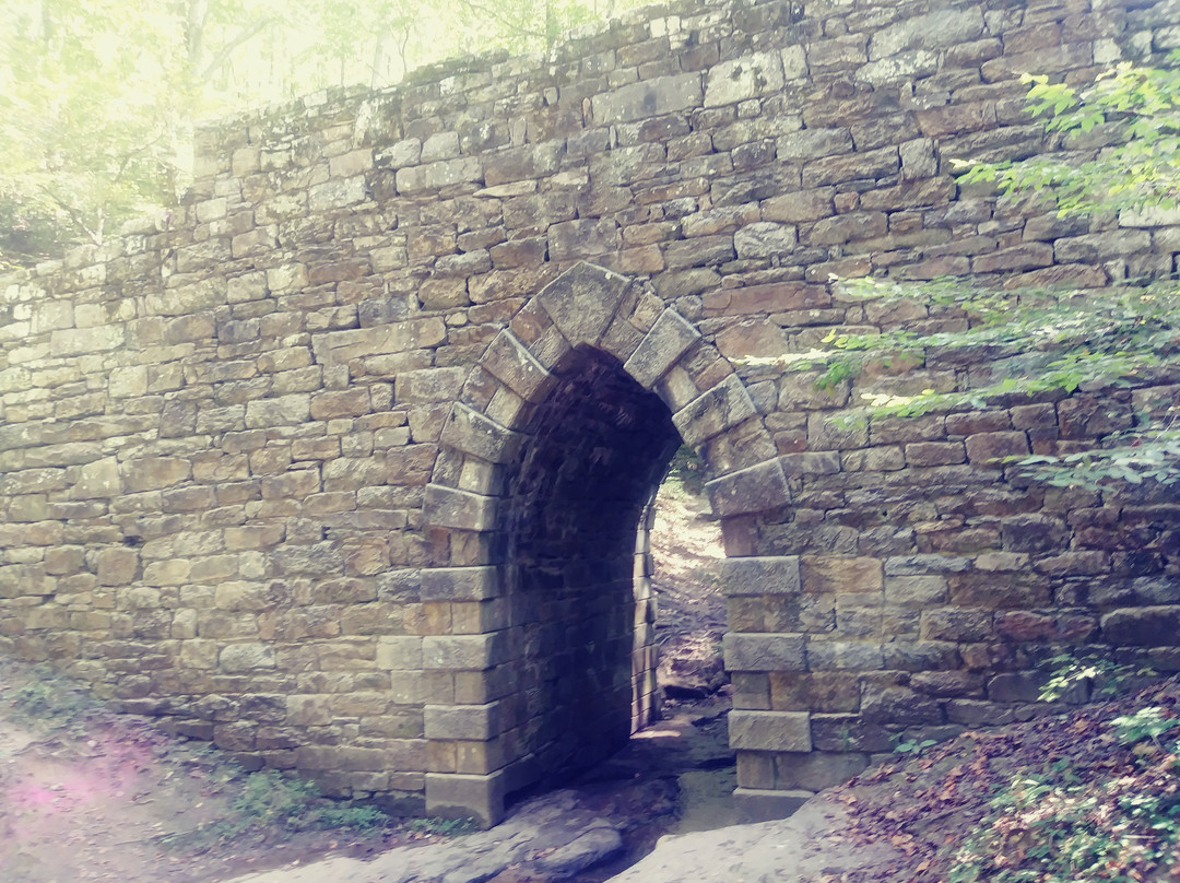 Poinsett Bridge-格林维尔必去景点