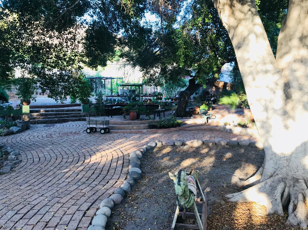 Casa Leree-San Ignacio必去景点