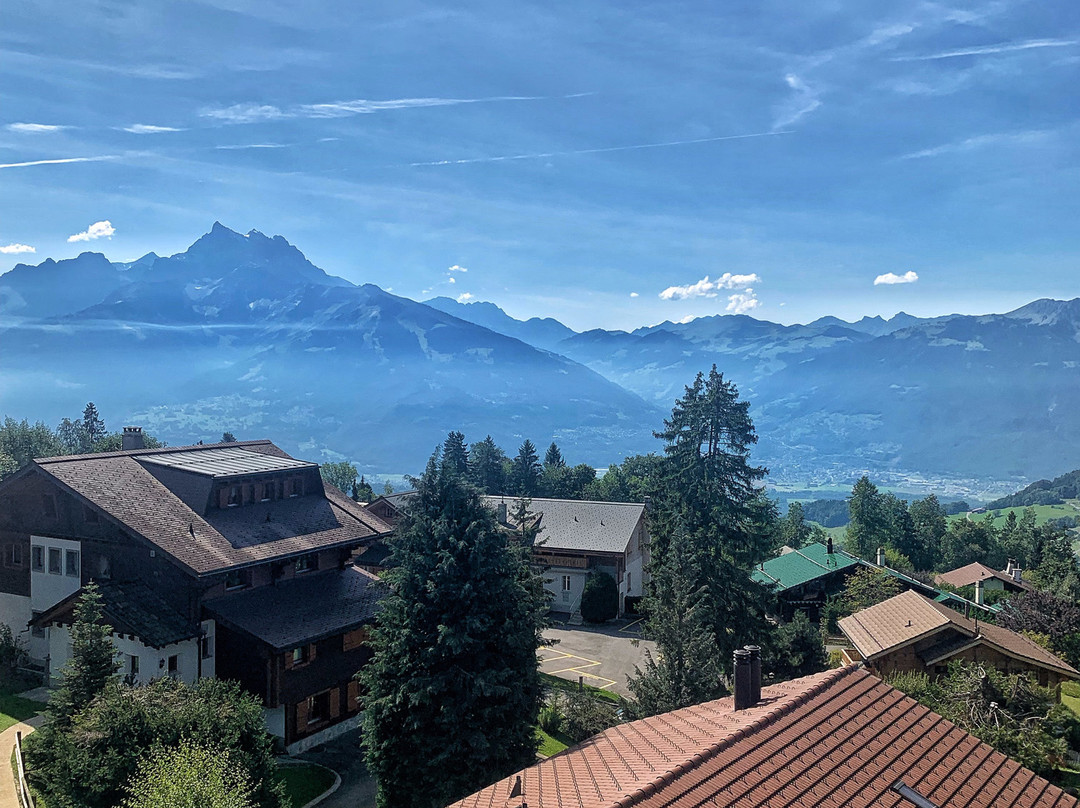 Alpe Fleurie Hotel & Residence主图