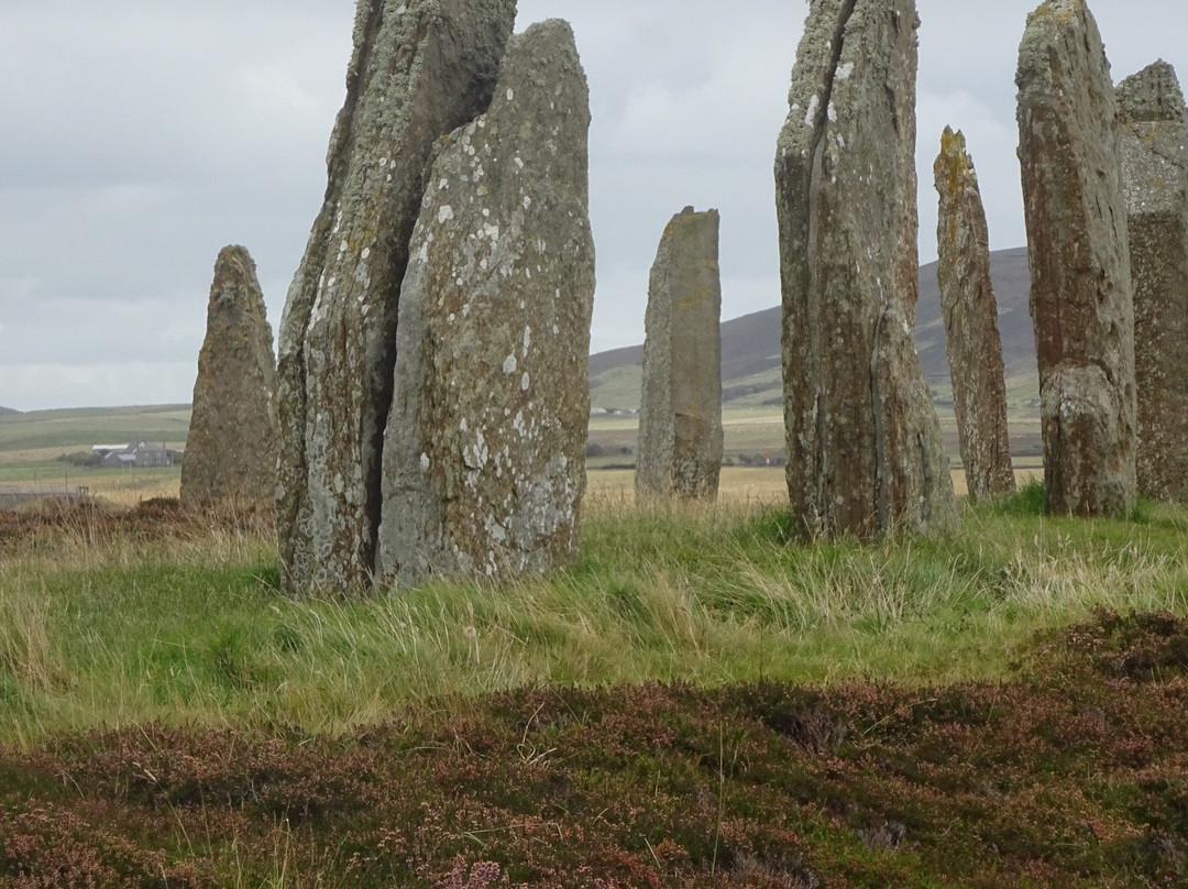 Orkney Archaeology Tours-柯克沃尔必去景点