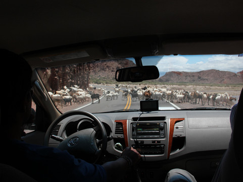 NORTE TREKKING-萨尔塔必去景点