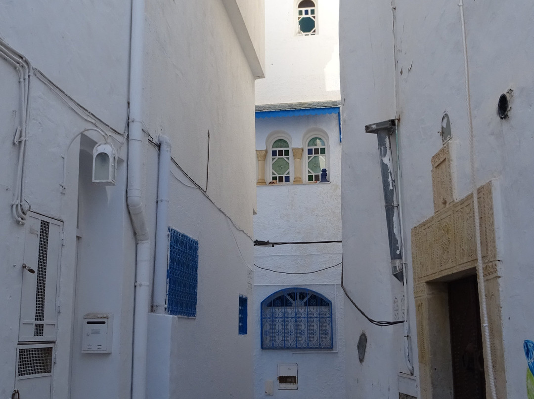 Medina of Yasmine Hammamet景点图片