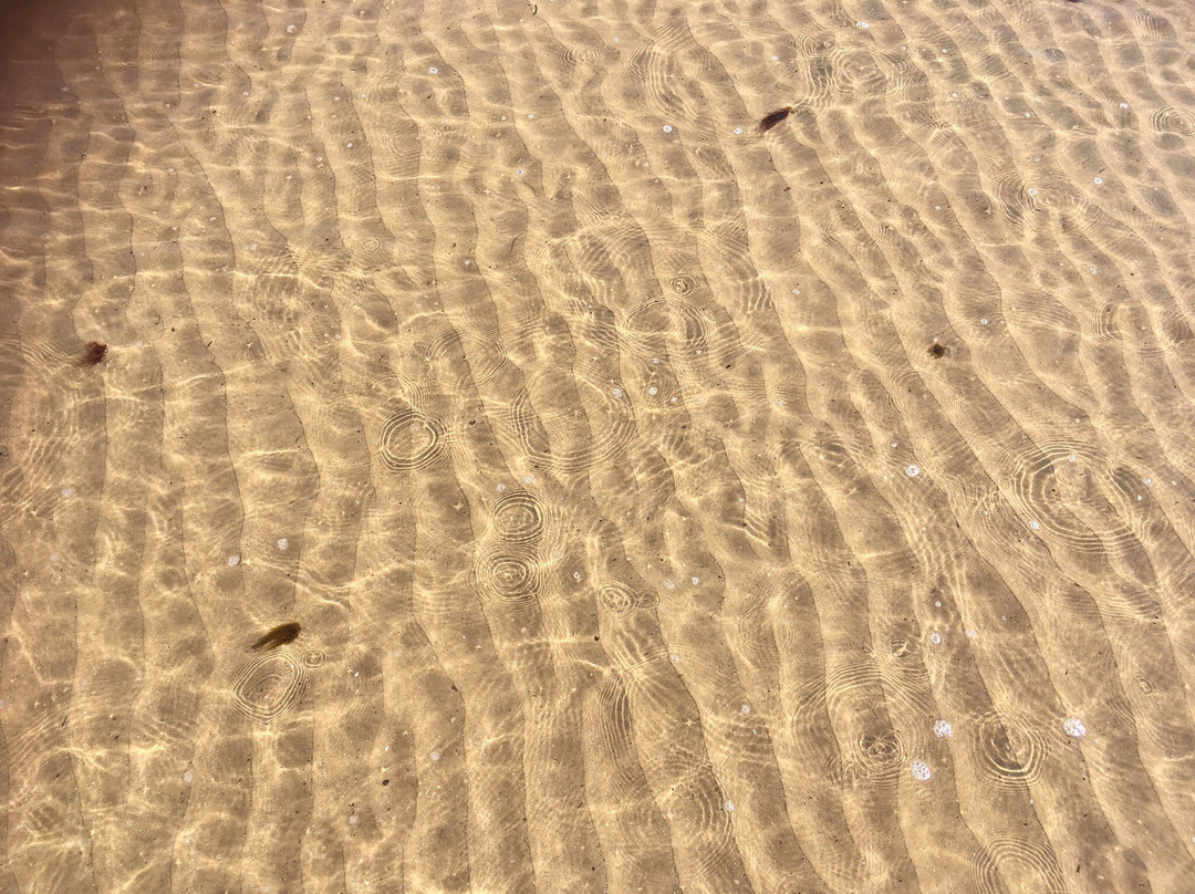 Roseisle Beach-Burghead必去景点