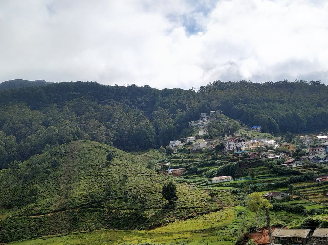 米迪基酒店主图