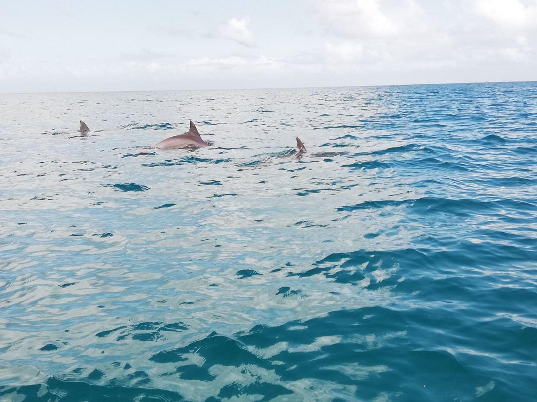 Zanzibar Tours-孥归必去景点