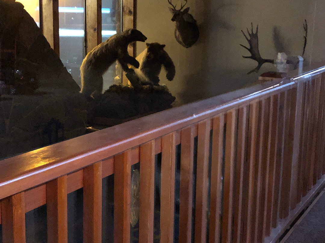 Cowlitz River Lodge主图