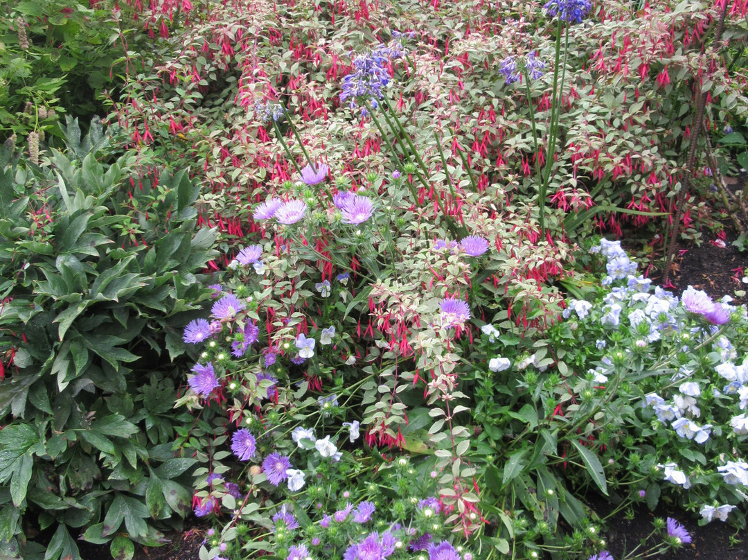 Evergreen Arboretum & Gardens-埃弗里特必去景点