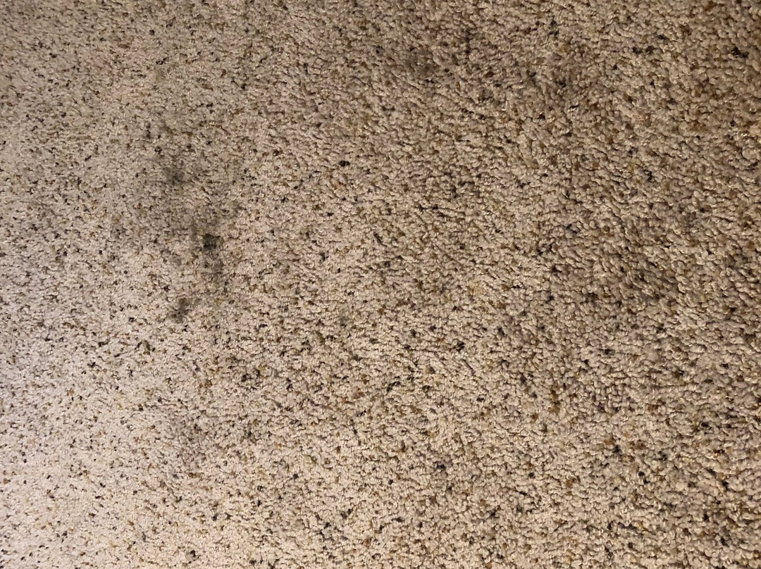 The Scandia Inn主图