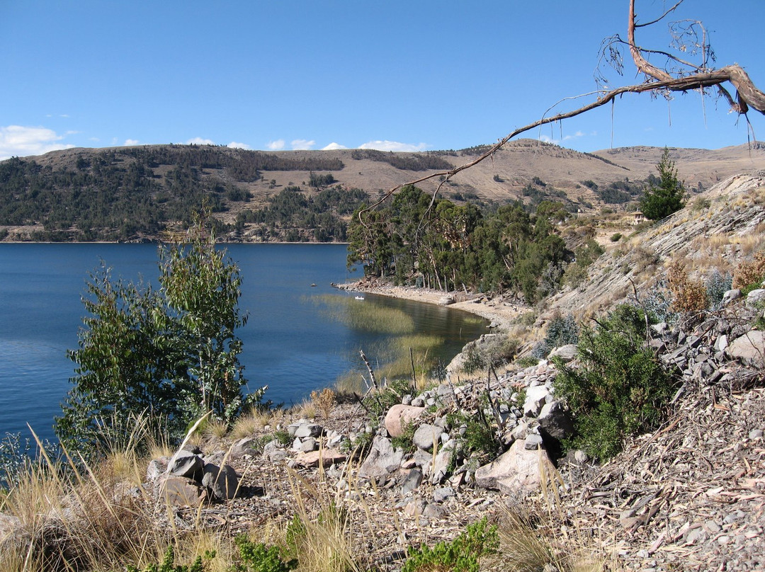 Isla Suasi旅游攻略图片