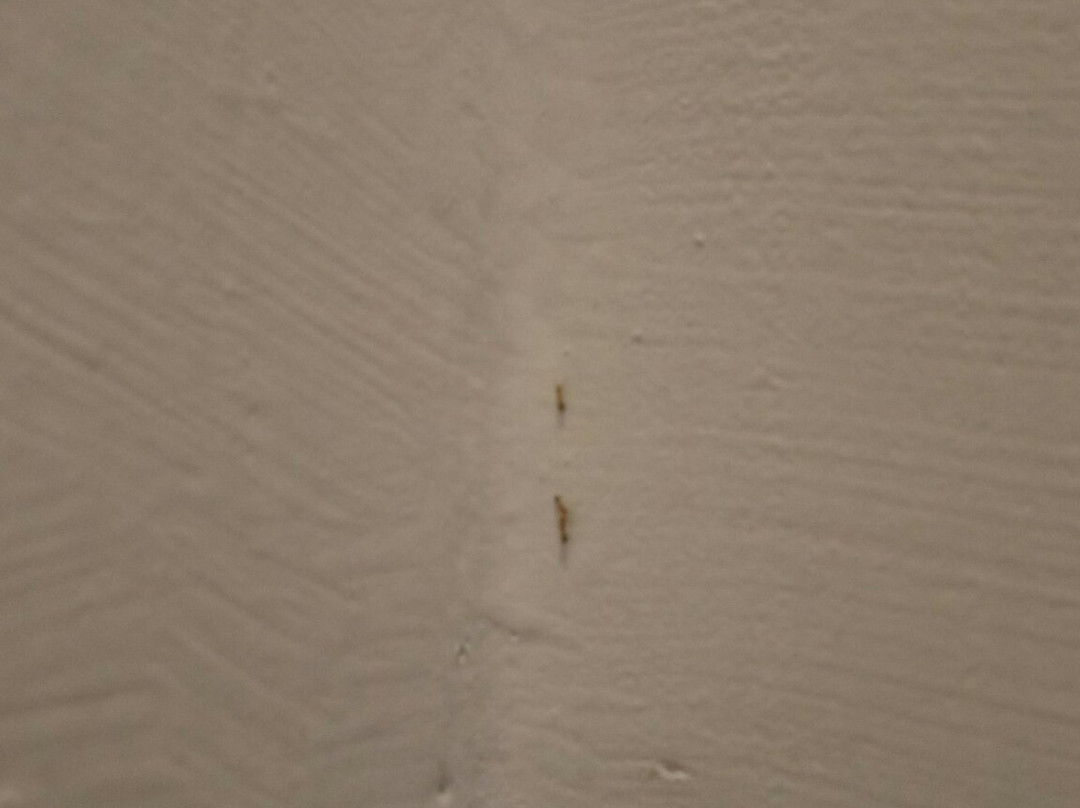 Hotel Lavender Senawang主图