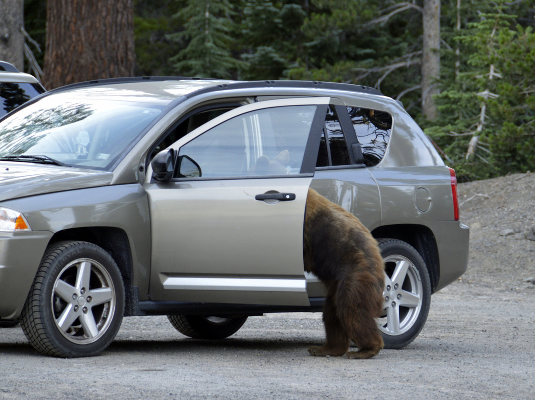 猛犸象山酒店主图