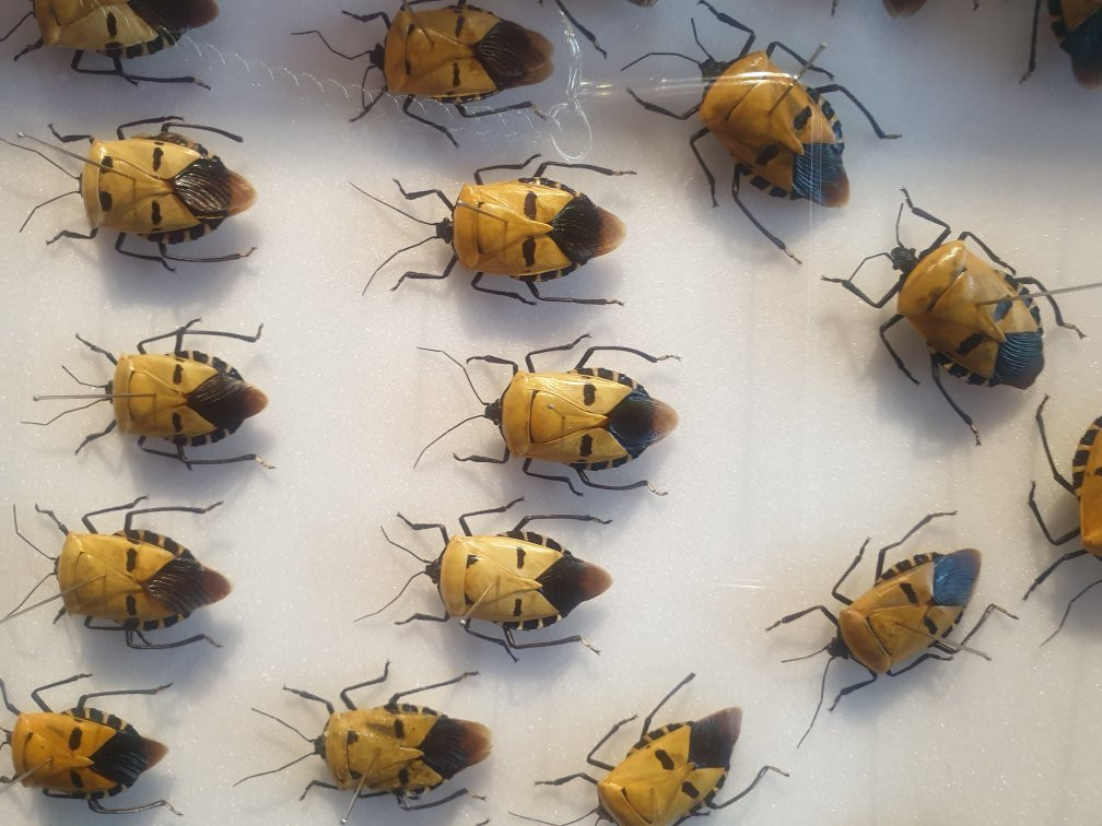 Bandi Land-茂朱郡必去景点