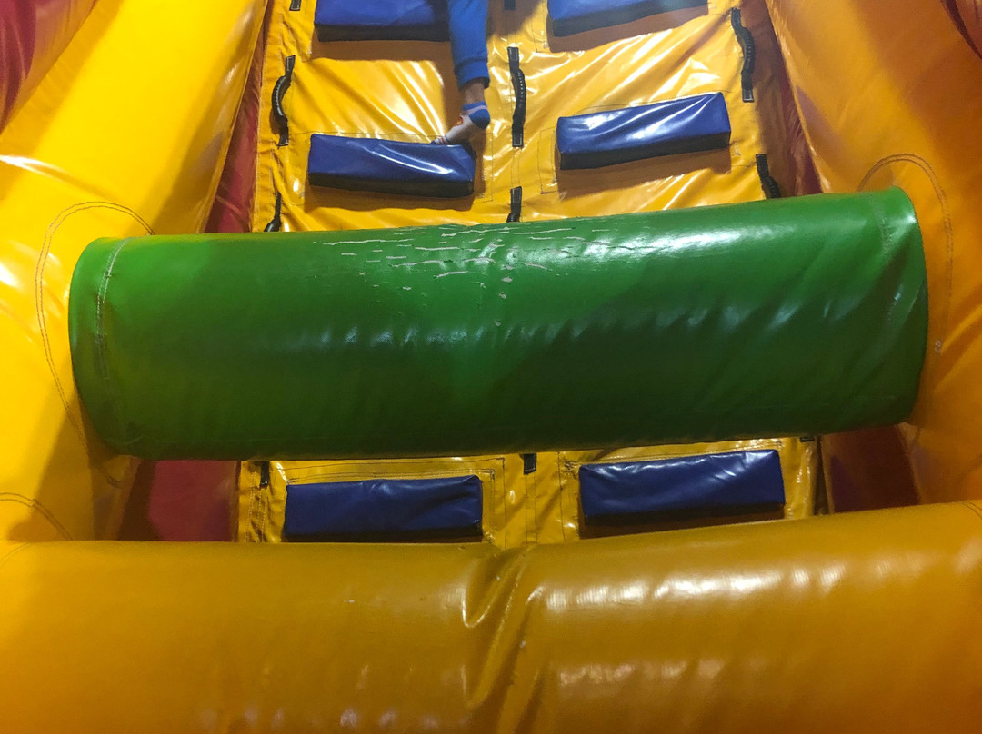 Bounce Down Under-萨拉索塔必去景点