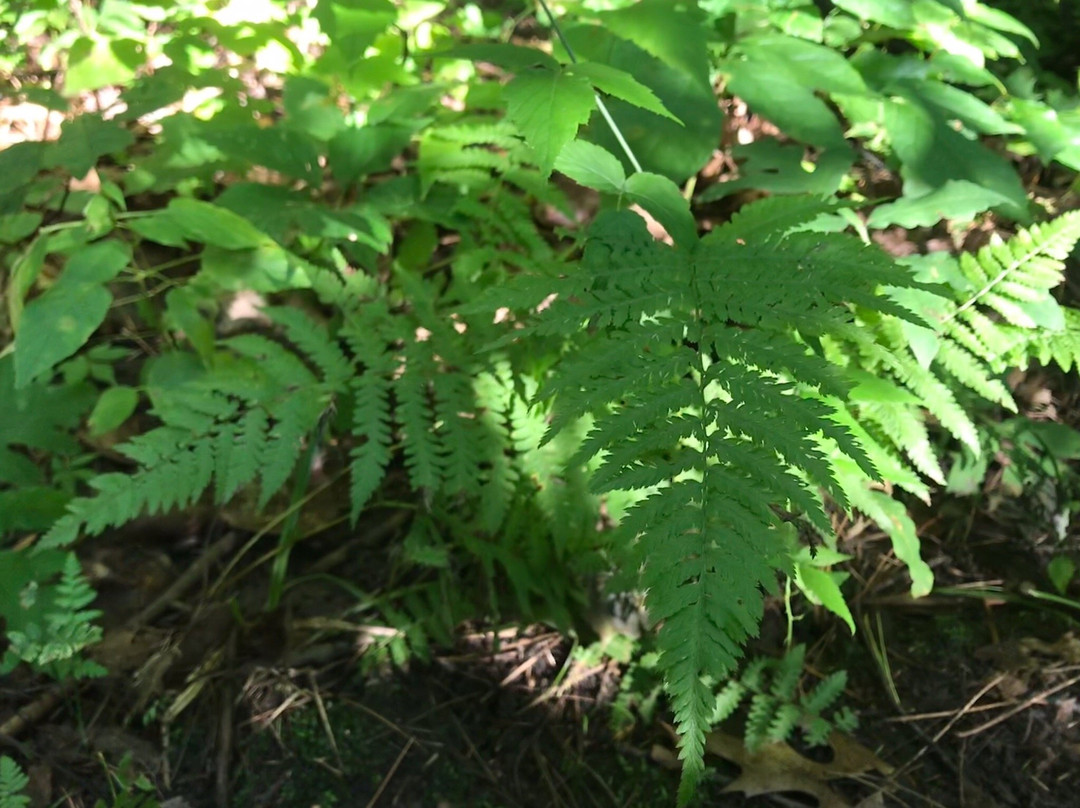 Poors Island Trails-Watertown必去景点