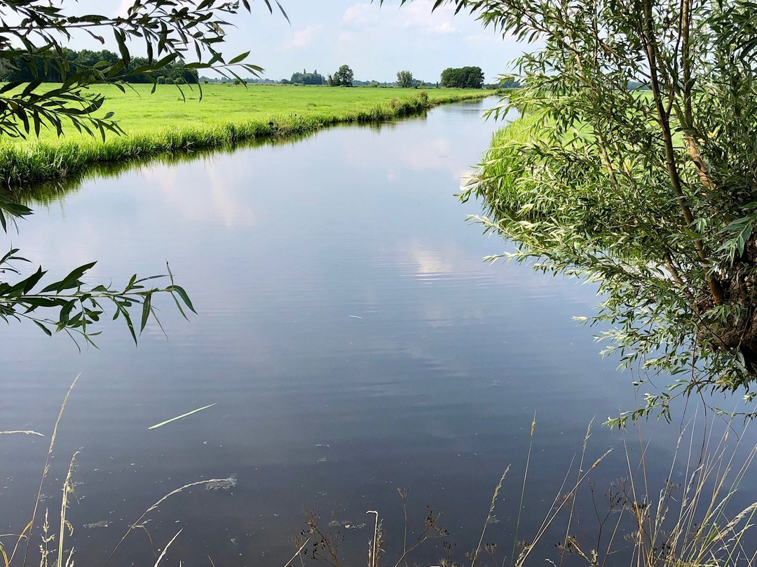 Kaasboerderij Jongenhoeve景点图片
