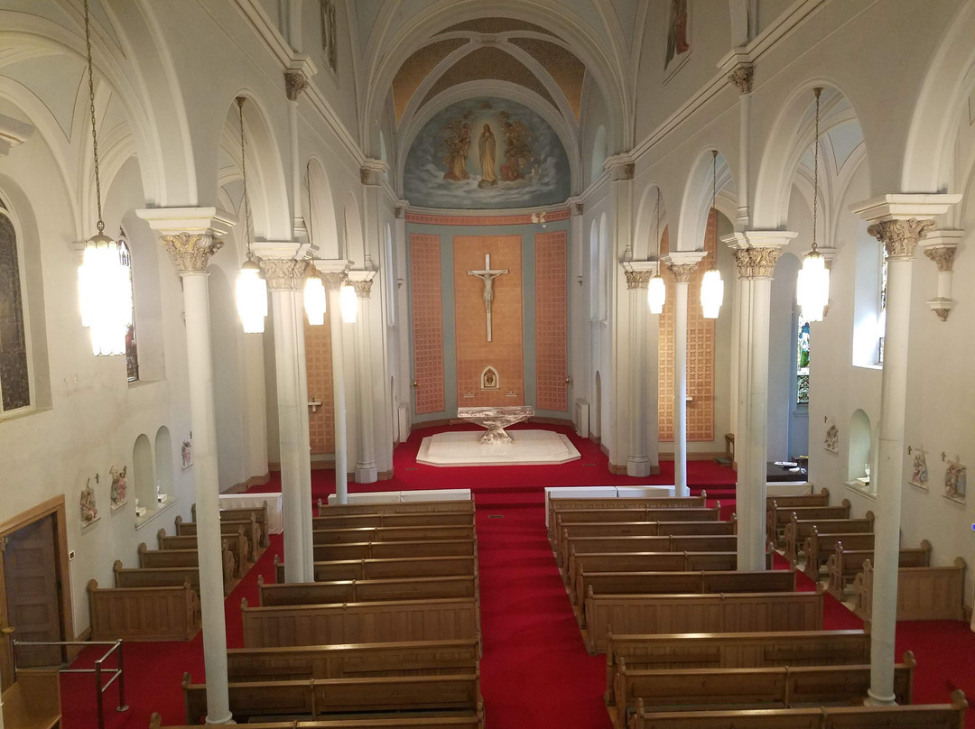 Arcadia Academy主图