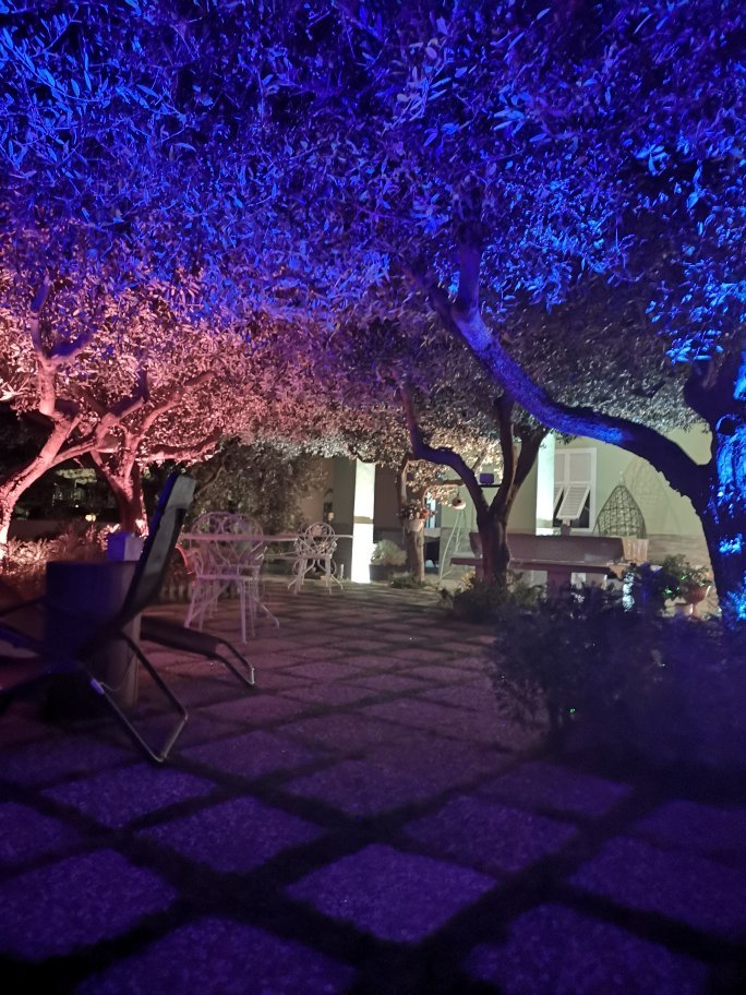 B&b Elfo Degli Ulivi-官方