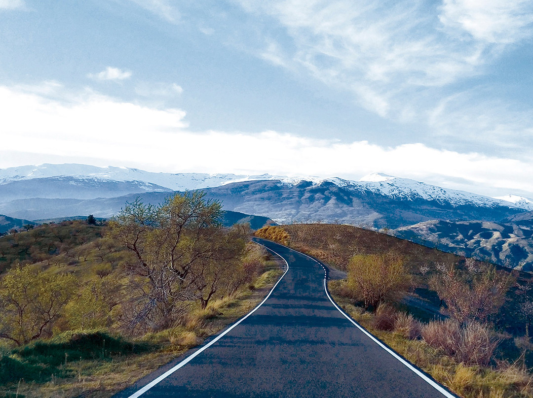 Torvizcon旅游攻略图片