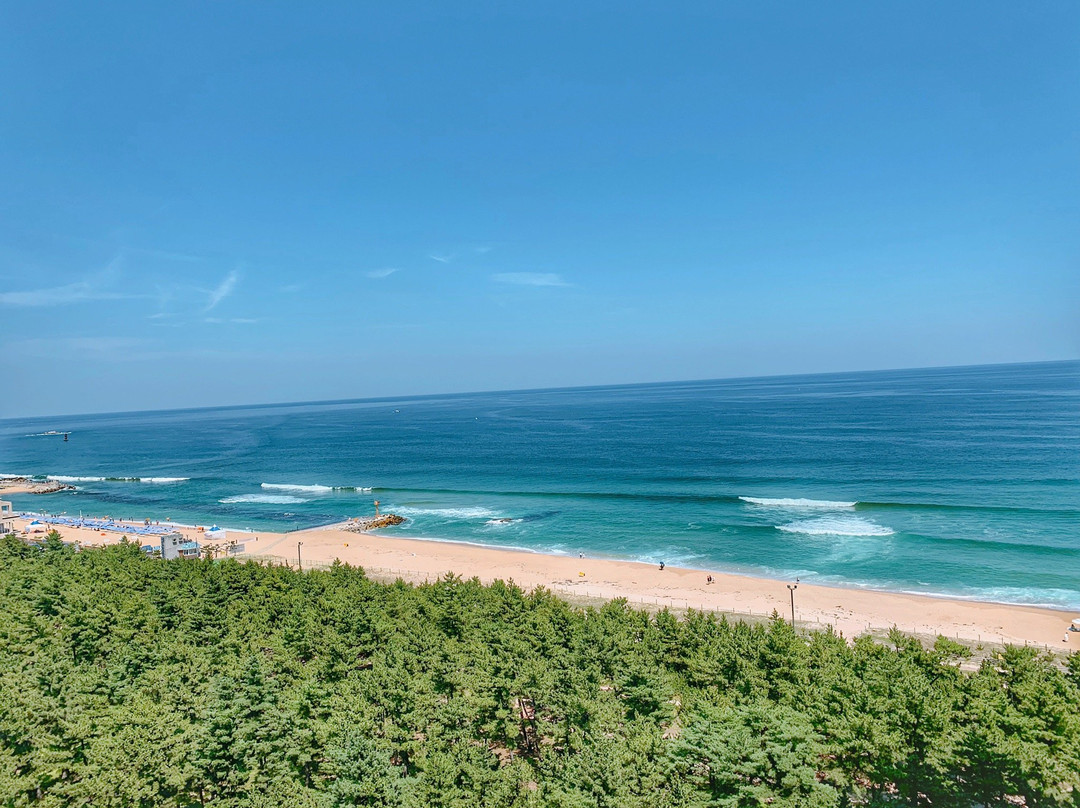 Gangmun Beach-江陵市必去景点
