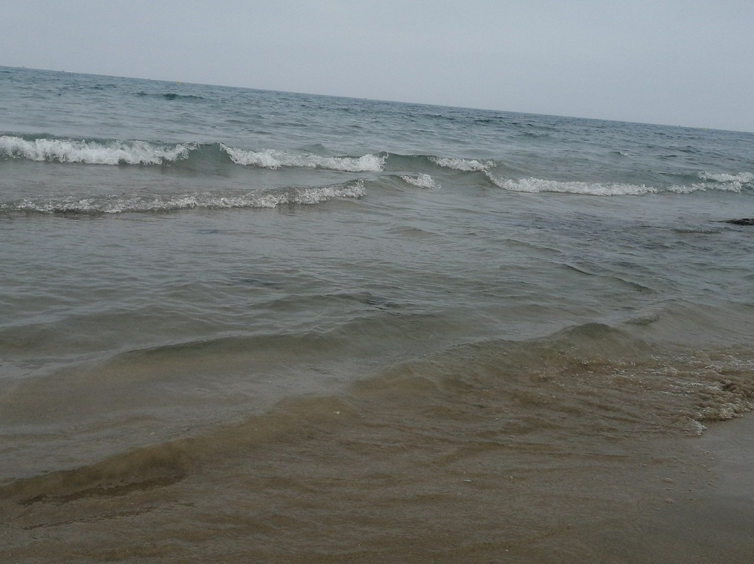 Plage de la Roquille景点图片