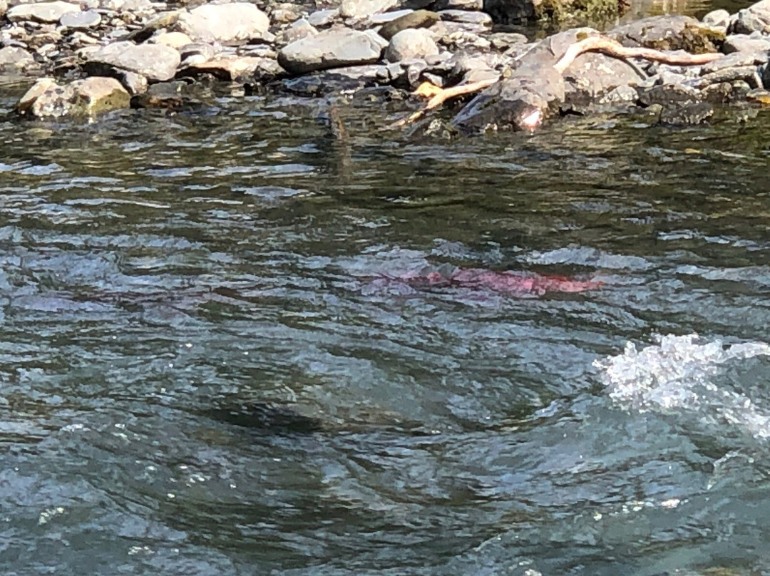 Bear Creek Weir-苏厄德必去景点