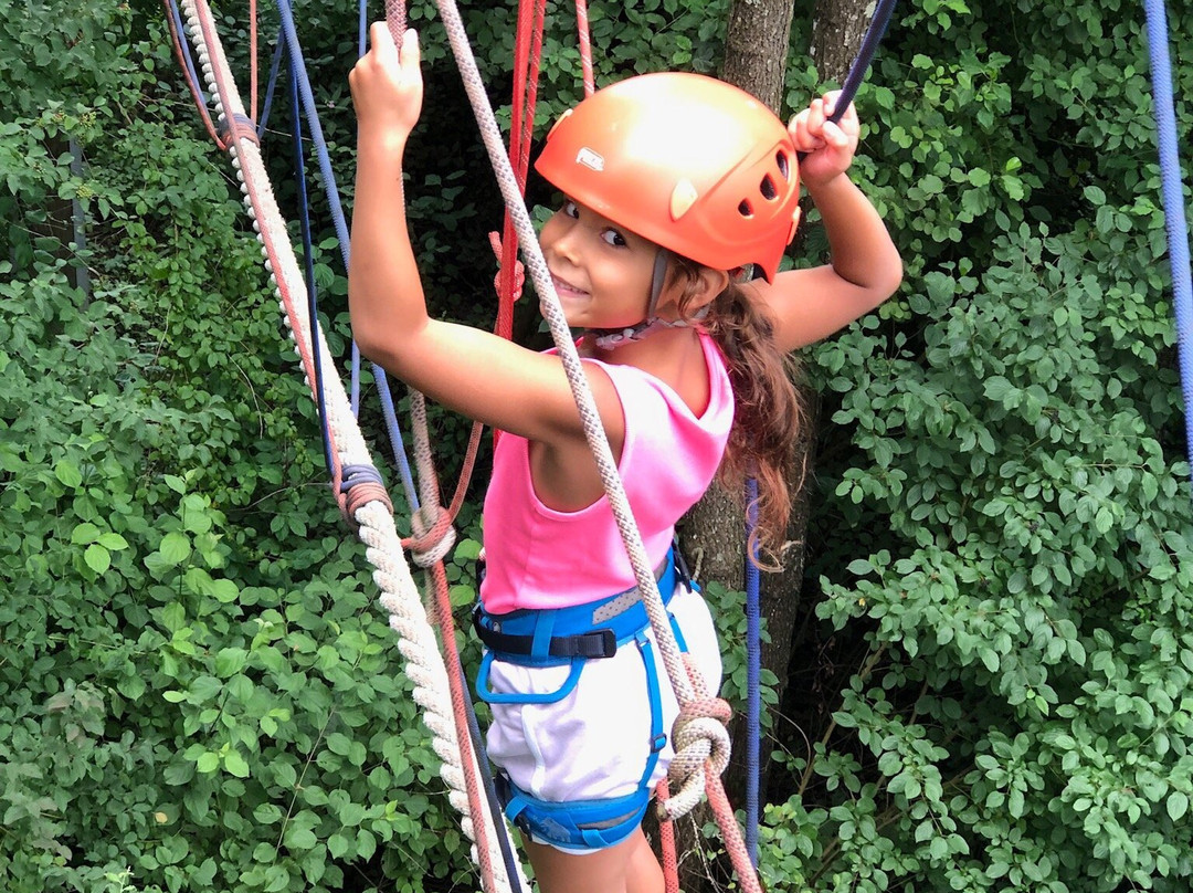 Kletterpark Greifenburg am Badesee景点图片